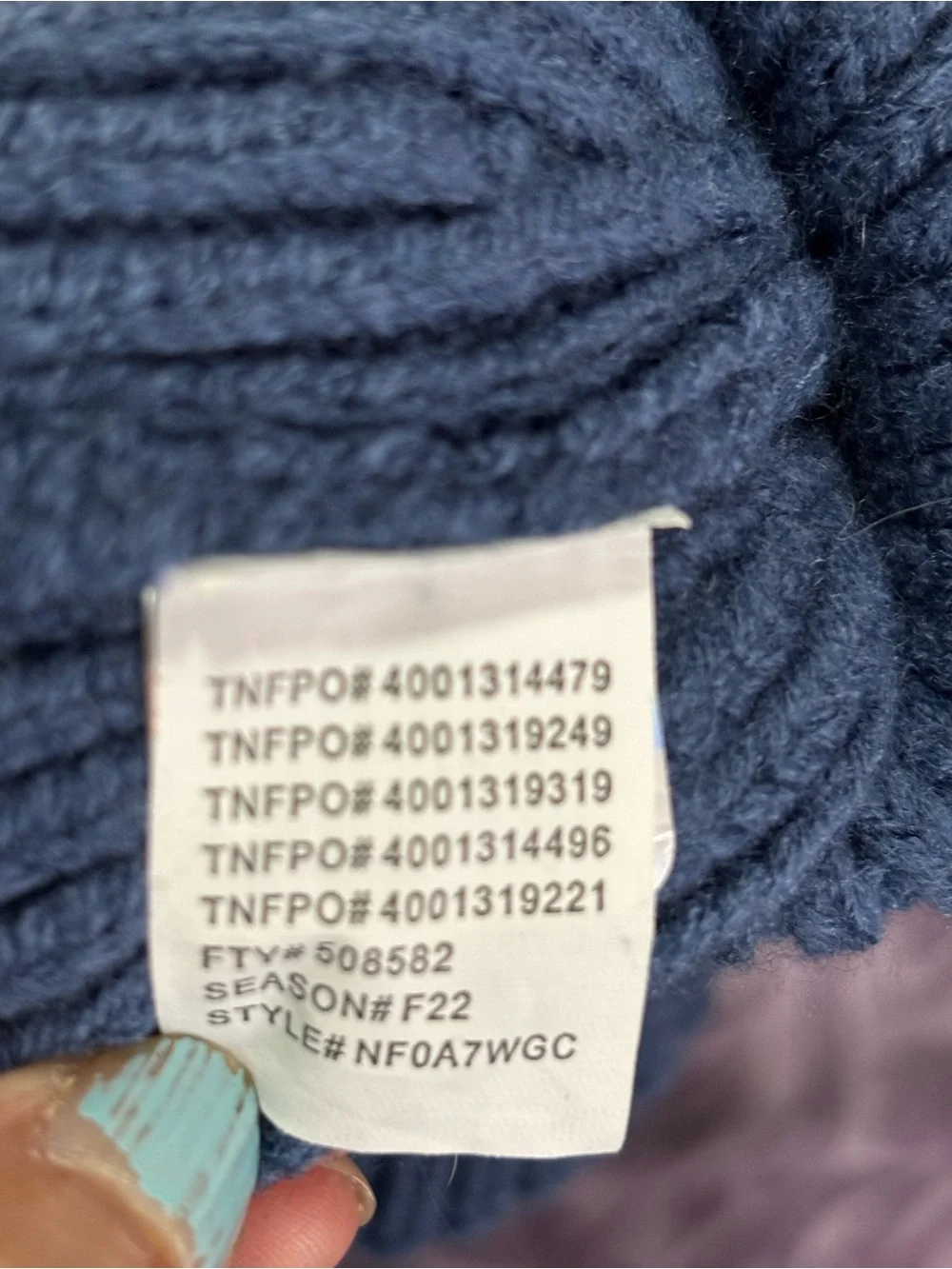 The North Face Blue Ribbed Beanie